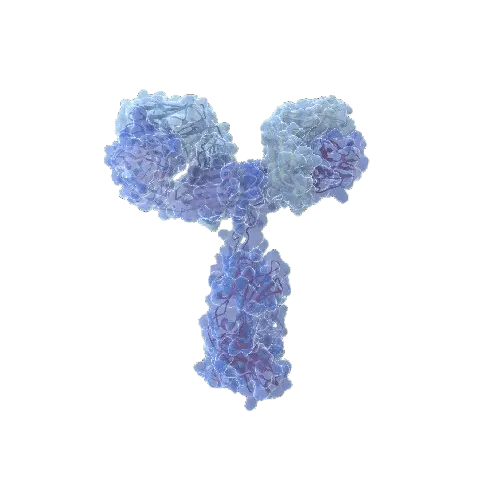 [ANT-H00003146-AP43] HMGB1 (Human) Matched Antibody Pair